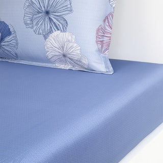 Ashleigh Bed Collection