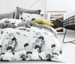 CHAYA Bedding Collection